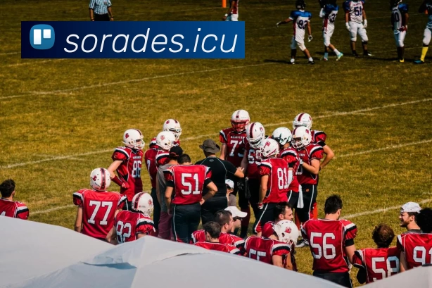 九游在线官方官网服务体系