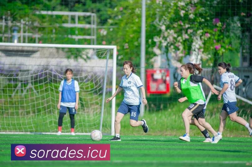 九游在线官方官网APP 体育赛事宣传图